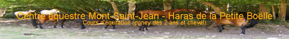 Centre équestre Mont-Saint-Jean - Haras de la Petite Boëlle
